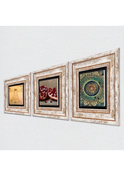 Mandala, Leonardo da Vinci Vitruvius Adamı, Nar Taş Duvar Tablosu Çerçeveli Duvar Dekoru 3 Parça Tablo Seti Wall Art T3-1385 fiyatları