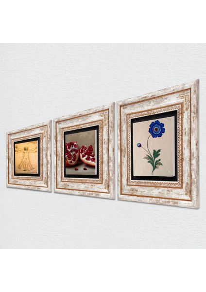 Ebru Sanatı, Leonardo da Vinci Vitruvius Adamı, Nar Taş Duvar Tablosu Çerçeveli Duvar Dekoru 3 Parça Tablo Seti Wall Art T3-1365