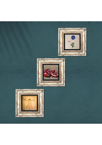 Ebru Sanatı, Leonardo da Vinci Vitruvius Adamı, Nar Taş Duvar Tablosu Çerçeveli Duvar Dekoru 3 Parça Tablo Seti Wall Art T3-1365