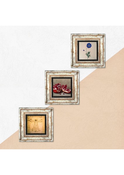 Ebru Sanatı, Leonardo da Vinci Vitruvius Adamı, Nar Taş Duvar Tablosu Çerçeveli Duvar Dekoru 3 Parça Tablo Seti Wall Art T3-1365