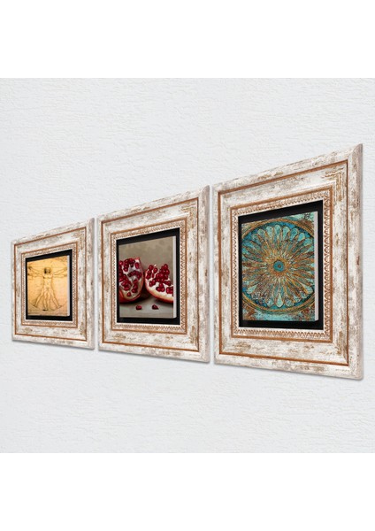 Yaşam Çiçeği, Leonardo da Vinci Vitruvius Adamı, Nar Taş Duvar Tablosu Çerçeveli Duvar Dekoru 3 Parça Tablo Seti Wall Art T3-1375 fiyatları