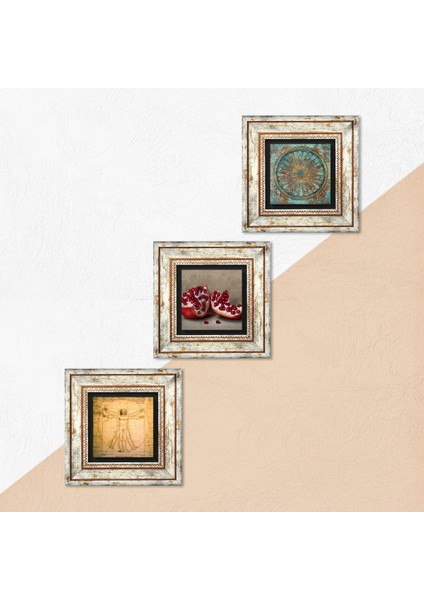 Yaşam Çiçeği, Leonardo da Vinci Vitruvius Adamı, Nar Taş Duvar Tablosu Çerçeveli Duvar Dekoru 3 Parça Tablo Seti Wall Art T3-1375 indirimleri