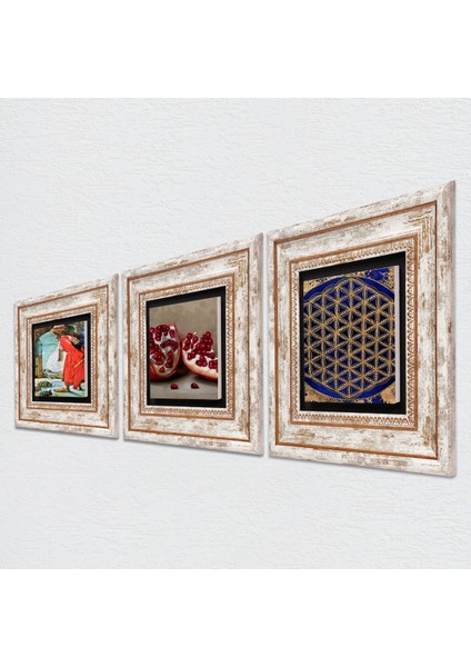 Yaşam Çiçeği, Kaplumbağa Terbiyecisi, Nar Taş Duvar Tablosu Çerçeveli Duvar Dekoru 3 Parça Tablo Seti Wall Art T3-1542 fiyatları