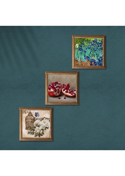 Van Gogh İrisler, Kelebekli Çiçek, Nar Taş Duvar Tablosu Ahşap Çerçeveli Duvar Dekoru 3 Parça Tablo Seti Wall Art W3-1084