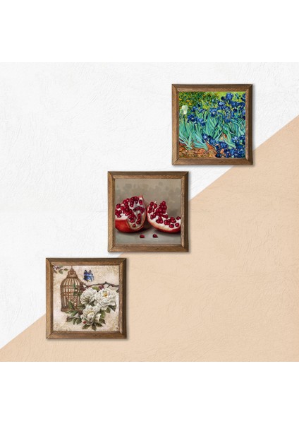 Van Gogh İrisler, Kelebekli Çiçek, Nar Taş Duvar Tablosu Ahşap Çerçeveli Duvar Dekoru 3 Parça Tablo Seti Wall Art W3-1084