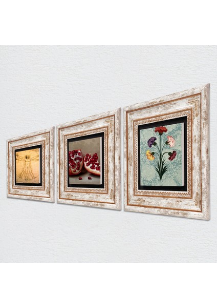 Ebru Sanatı, Leonardo da Vinci Vitruvius Adamı, Nar Taş Duvar Tablosu Çerçeveli Duvar Dekoru 3 Parça Tablo Seti Wall Art T3-1388