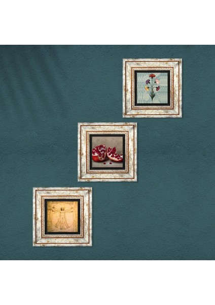 Ebru Sanatı, Leonardo da Vinci Vitruvius Adamı, Nar Taş Duvar Tablosu Çerçeveli Duvar Dekoru 3 Parça Tablo Seti Wall Art T3-1388