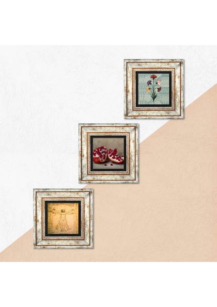 Ebru Sanatı, Leonardo da Vinci Vitruvius Adamı, Nar Taş Duvar Tablosu Çerçeveli Duvar Dekoru 3 Parça Tablo Seti Wall Art T3-1388