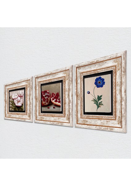 Ebru Sanatı, Kelebekli Çiçek, Nar Taş Duvar Tablosu Çerçeveli Duvar Dekoru 3 Parça Tablo Seti Wall Art T3-1237