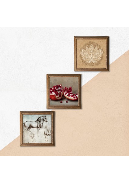 Lotus Çiçeği, Leonardo da Vinci At Heykeli, Nar Taş Duvar Tablosu Ahşap Çerçeveli Duvar Dekoru 3 Parça Tablo Seti Wall Art W3-1314