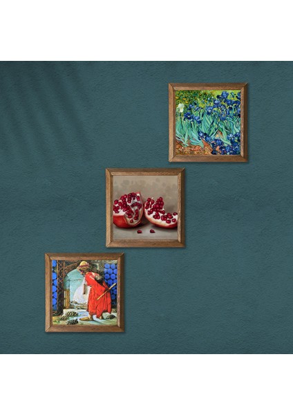 Van Gogh İrisler, Kaplumbağa Terbiyecisi, Nar Taş Duvar Tablosu Ahşap Çerçeveli Duvar Dekoru 3 Parça Tablo Seti Wall Art W3-1530 modelleri