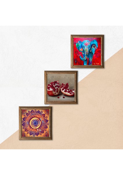 Mandala, Fil, Nar Taş Duvar Tablosu Ahşap Çerçeveli Duvar Dekoru 3 Parça Tablo Seti Wall Art W3-1689 indirimleri