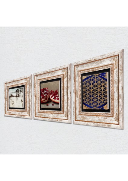 Yaşam Çiçeği, Leonardo da Vinci At Heykeli, Nar Taş Duvar Tablosu Çerçeveli Duvar Dekoru 3 Parça Tablo Seti Wall Art T3-1310