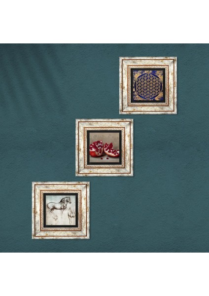 Yaşam Çiçeği, Leonardo da Vinci At Heykeli, Nar Taş Duvar Tablosu Çerçeveli Duvar Dekoru 3 Parça Tablo Seti Wall Art T3-1310