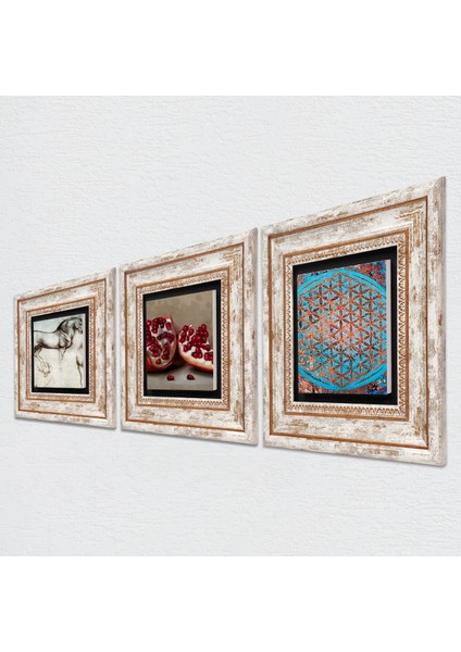 Yaşam Çiçeği, Leonardo da Vinci At Heykeli, Nar Taş Duvar Tablosu Çerçeveli Duvar Dekoru 3 Parça Tablo Seti Wall Art T3-1321