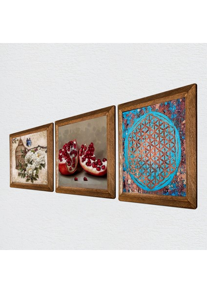 Yaşam Çiçeği, Kelebekli Çiçek, Nar Taş Duvar Tablosu Ahşap Çerçeveli Duvar Dekoru 3 Parça Tablo Seti Wall Art W3-1096