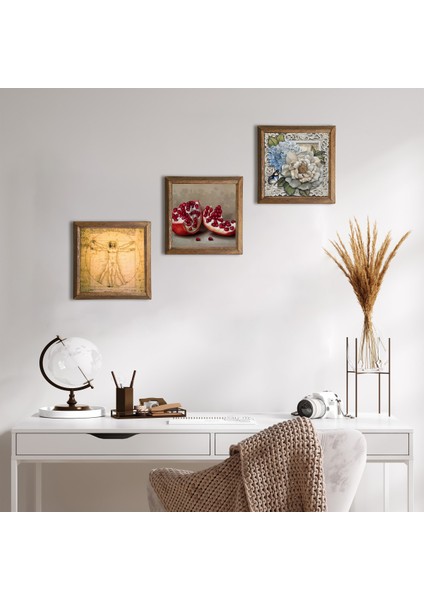 Leonardo da Vinci Vitruvius Adamı, Kelebekli Çiçek, Nar Taş Duvar Tablosu Ahşap Çerçeveli Duvar Dekoru 3 Parça Tablo Seti Wall Art W3-1126