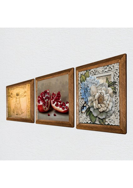 Leonardo da Vinci Vitruvius Adamı, Kelebekli Çiçek, Nar Taş Duvar Tablosu Ahşap Çerçeveli Duvar Dekoru 3 Parça Tablo Seti Wall Art W3-1126