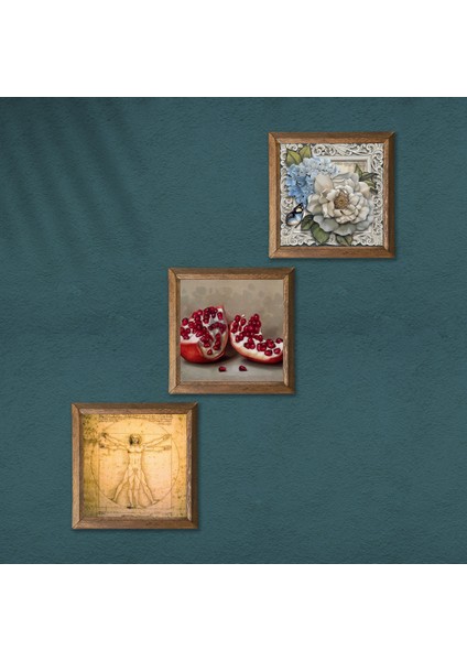 Leonardo da Vinci Vitruvius Adamı, Kelebekli Çiçek, Nar Taş Duvar Tablosu Ahşap Çerçeveli Duvar Dekoru 3 Parça Tablo Seti Wall Art W3-1126