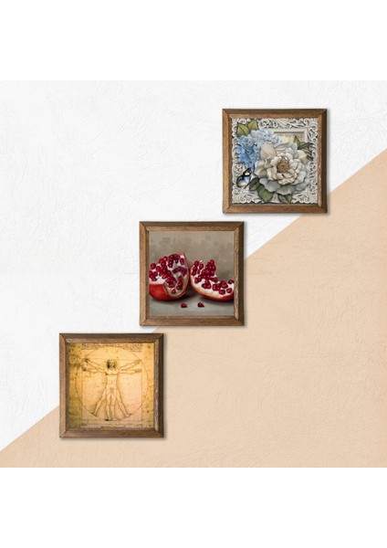 Leonardo da Vinci Vitruvius Adamı, Kelebekli Çiçek, Nar Taş Duvar Tablosu Ahşap Çerçeveli Duvar Dekoru 3 Parça Tablo Seti Wall Art W3-1126