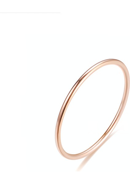 Çelik Yüzük (Yurt Dışından)