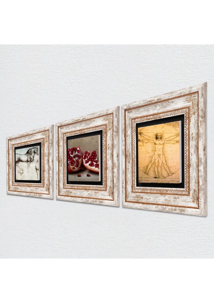 Leonardo da Vinci Vitruvius Adamı, At Heykeli, Nar Taş Duvar Tablosu Çerçeveli Duvar Dekoru 3 Parça Tablo Seti Wall Art T3-1282