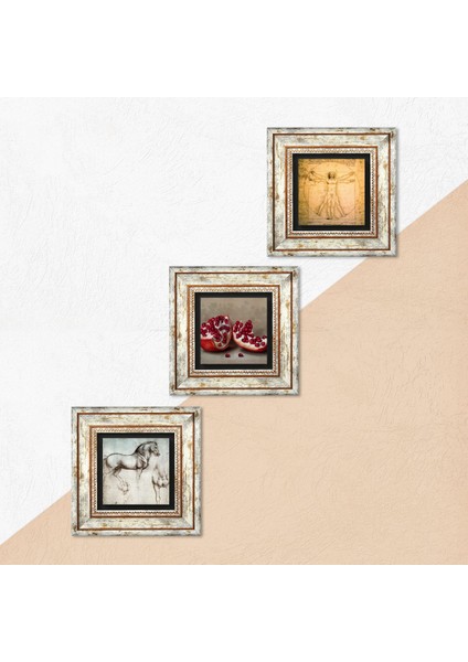 Leonardo da Vinci Vitruvius Adamı, At Heykeli, Nar Taş Duvar Tablosu Çerçeveli Duvar Dekoru 3 Parça Tablo Seti Wall Art T3-1282