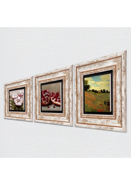 Claude Monet Gelincikler, Kelebekli Çiçek, Nar Çerçeveli Taş Duvar Tablosu 3’lü Set - Dekoratif Modern Sanat, Ev ve Ofis Dekoru |TK3-1264| fiyatları