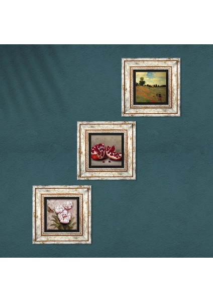 Claude Monet Gelincikler, Kelebekli Çiçek, Nar Çerçeveli Taş Duvar Tablosu 3’lü Set - Dekoratif Modern Sanat, Ev ve Ofis Dekoru |TK3-1264| fırsatları