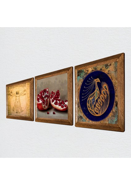 Tavus Kuşu, Leonardo da Vinci Vitruvius Adamı, Nar Taş Duvar Tablosu Ahşap Çerçeveli Duvar Dekoru 3 Parça Tablo Seti Wall Art W3-1376 fiyatları