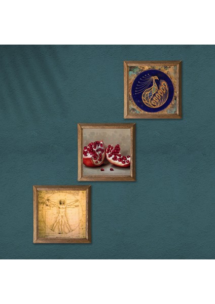 Tavus Kuşu, Leonardo da Vinci Vitruvius Adamı, Nar Taş Duvar Tablosu Ahşap Çerçeveli Duvar Dekoru 3 Parça Tablo Seti Wall Art W3-1376 modelleri