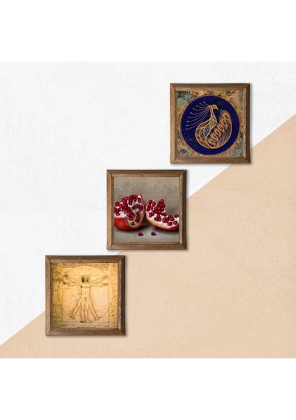 Tavus Kuşu, Leonardo da Vinci Vitruvius Adamı, Nar Taş Duvar Tablosu Ahşap Çerçeveli Duvar Dekoru 3 Parça Tablo Seti Wall Art W3-1376 indirimleri