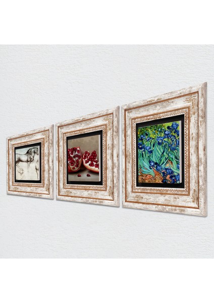 Van Gogh İrisler, Leonardo da Vinci At Heykeli, Nar Taş Duvar Tablosu Çerçeveli Duvar Dekoru 3 Parça Tablo Seti Wall Art T3-1295