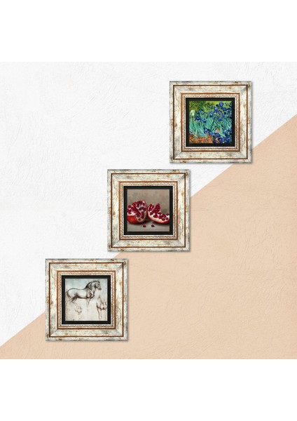 Van Gogh İrisler, Leonardo da Vinci At Heykeli, Nar Taş Duvar Tablosu Çerçeveli Duvar Dekoru 3 Parça Tablo Seti Wall Art T3-1295