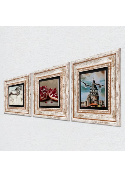 İstanbul Galata Kulesi, Leonardo da Vinci At Heykeli, Nar Taş Duvar Tablosu Çerçeveli Duvar Dekoru 3 Parça Tablo Seti Wall Art T3-1300