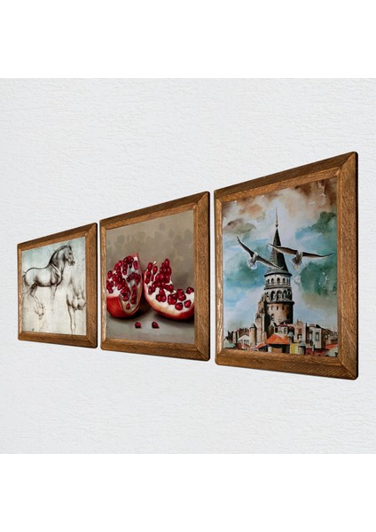 İstanbul Galata Kulesi, Leonardo da Vinci At Heykeli, Nar Taş Duvar Tablosu Ahşap Çerçeveli Duvar Dekoru 3 Parça Tablo Seti Wall Art W3-1300