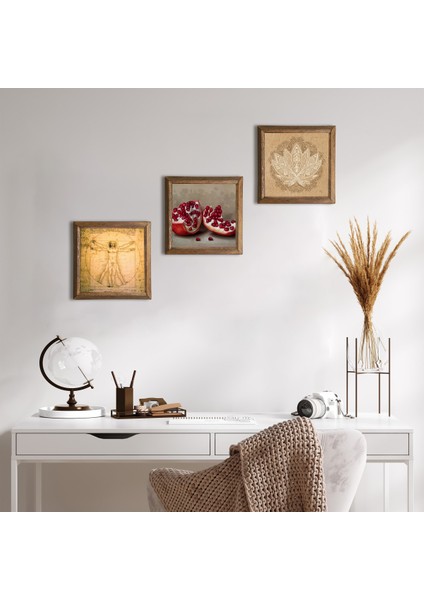 Lotus Çiçeği, Leonardo da Vinci Vitruvius Adamı, Nar Taş Duvar Tablosu Ahşap Çerçeveli Duvar Dekoru 3 Parça Tablo Seti Wall Art W3-1371