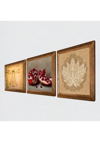 Lotus Çiçeği, Leonardo da Vinci Vitruvius Adamı, Nar Taş Duvar Tablosu Ahşap Çerçeveli Duvar Dekoru 3 Parça Tablo Seti Wall Art W3-1371