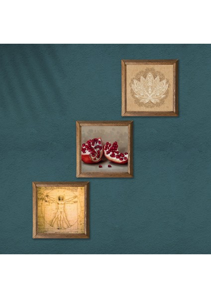 Lotus Çiçeği, Leonardo da Vinci Vitruvius Adamı, Nar Taş Duvar Tablosu Ahşap Çerçeveli Duvar Dekoru 3 Parça Tablo Seti Wall Art W3-1371