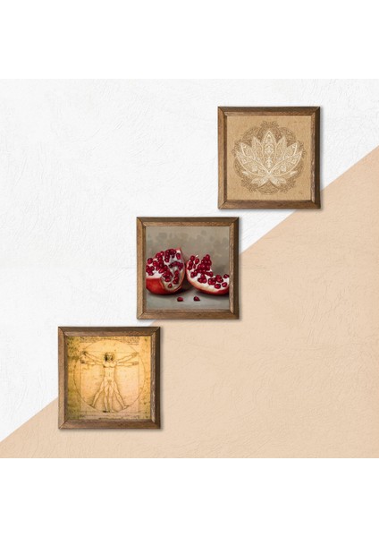 Lotus Çiçeği, Leonardo da Vinci Vitruvius Adamı, Nar Taş Duvar Tablosu Ahşap Çerçeveli Duvar Dekoru 3 Parça Tablo Seti Wall Art W3-1371