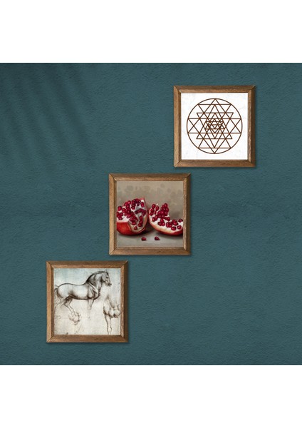Sri Yantra, Leonardo da Vinci At Heykeli, Nar Taş Duvar Tablosu Ahşap Çerçeveli Duvar Dekoru 3 Parça Tablo Seti Wall Art W3-1311
