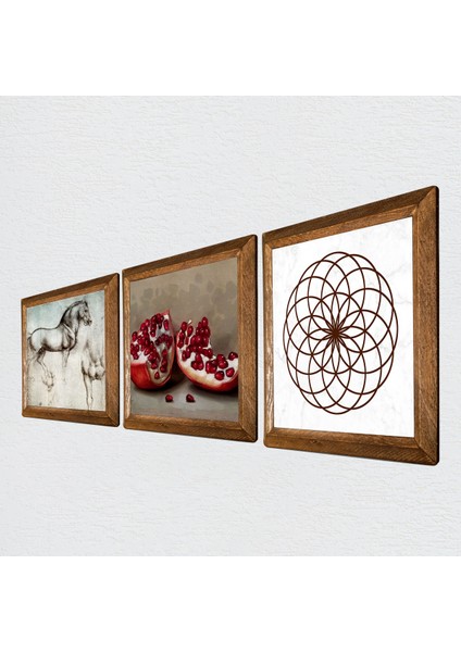 Yaşam Çiçeği, Leonardo da Vinci At Heykeli, Nar Taş Duvar Tablosu Ahşap Çerçeveli Duvar Dekoru 3 Parça Tablo Seti Wall Art W3-1313