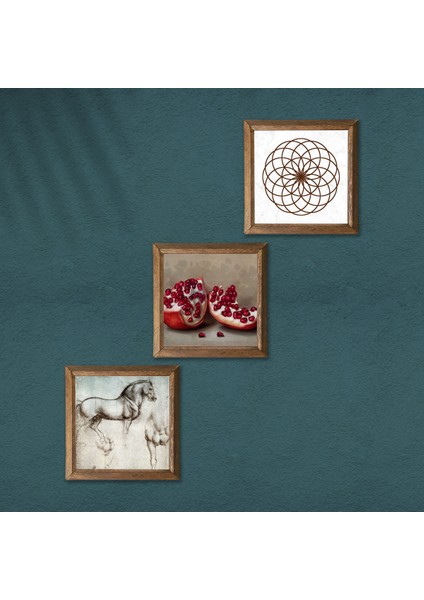 Yaşam Çiçeği, Leonardo da Vinci At Heykeli, Nar Taş Duvar Tablosu Ahşap Çerçeveli Duvar Dekoru 3 Parça Tablo Seti Wall Art W3-1313