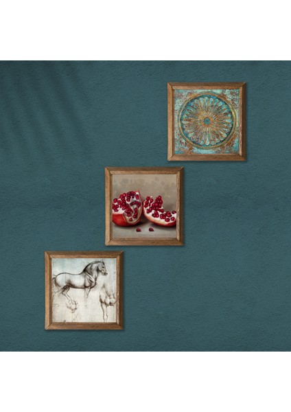 Yaşam Çiçeği, Leonardo da Vinci At Heykeli, Nar Taş Duvar Tablosu Ahşap Çerçeveli Duvar Dekoru 3 Parça Tablo Seti Wall Art W3-1318