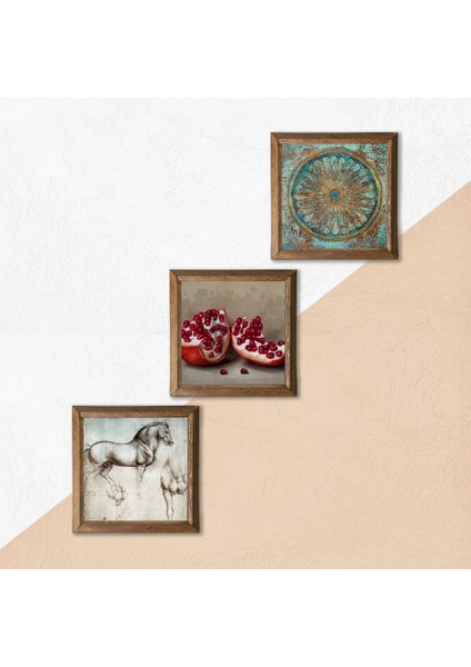 Yaşam Çiçeği, Leonardo da Vinci At Heykeli, Nar Taş Duvar Tablosu Ahşap Çerçeveli Duvar Dekoru 3 Parça Tablo Seti Wall Art W3-1318