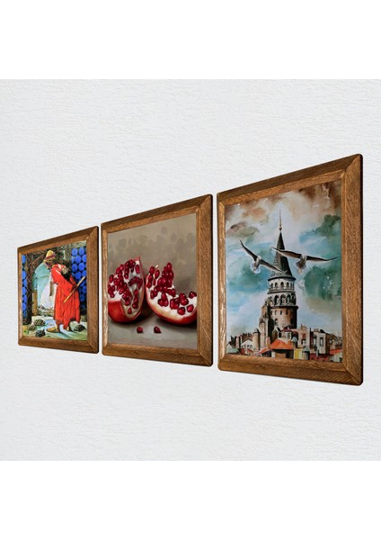 İstanbul Galata Kulesi, Kaplumbağa Terbiyecisi, Nar Taş Duvar Tablosu Ahşap Çerçeveli Duvar Dekoru 3 Parça Tablo Seti Wall Art W3-1535