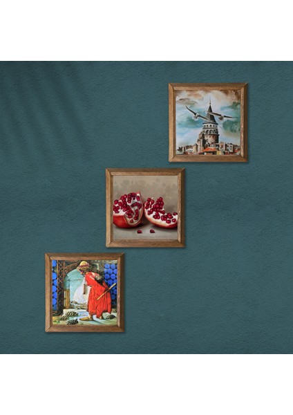 İstanbul Galata Kulesi, Kaplumbağa Terbiyecisi, Nar Taş Duvar Tablosu Ahşap Çerçeveli Duvar Dekoru 3 Parça Tablo Seti Wall Art W3-1535