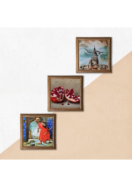 İstanbul Galata Kulesi, Kaplumbağa Terbiyecisi, Nar Taş Duvar Tablosu Ahşap Çerçeveli Duvar Dekoru 3 Parça Tablo Seti Wall Art W3-1535