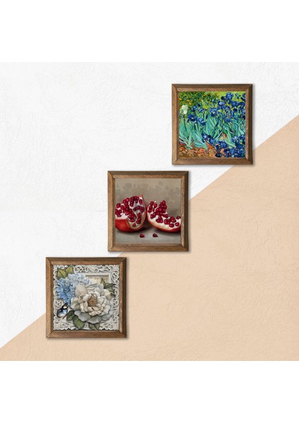 Van Gogh İrisler, Kelebekli Çiçek, Nar Taş Duvar Tablosu Ahşap Çerçeveli Duvar Dekoru 3 Parça Tablo Seti Wall Art W3-1139 indirimleri