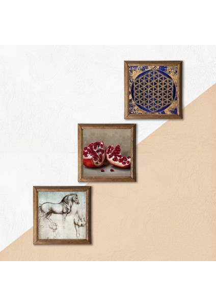 Yaşam Çiçeği, Leonardo da Vinci At Heykeli, Nar Taş Duvar Tablosu Ahşap Çerçeveli Duvar Dekoru 3 Parça Tablo Seti Wall Art W3-1310